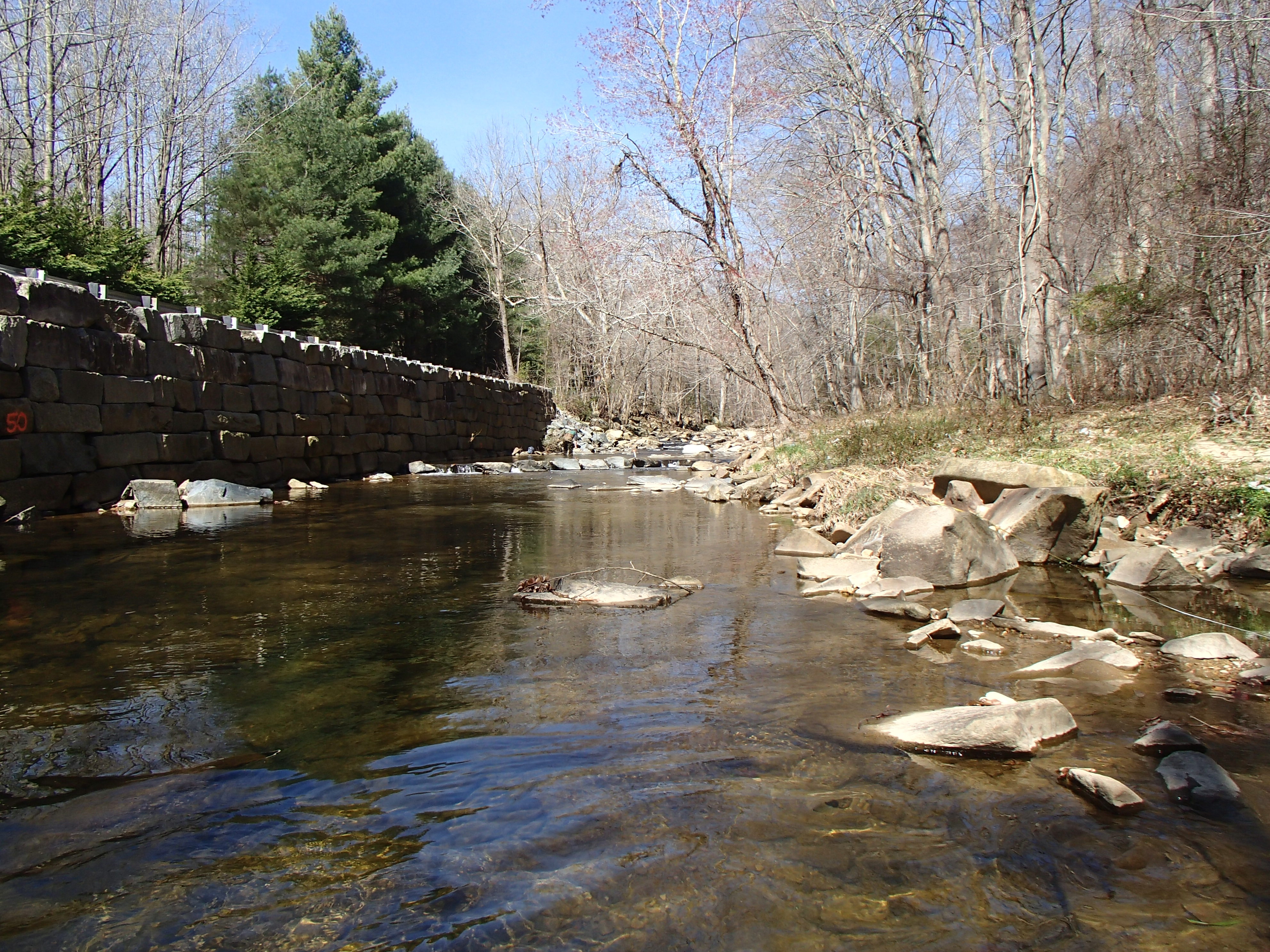 Field photo showing stream conditions at site BYNU-301-R-2016_midpoint upstream